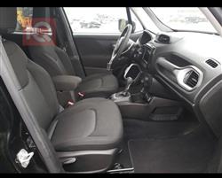 جيب رينيجيد